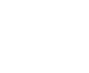 icon of person with gear